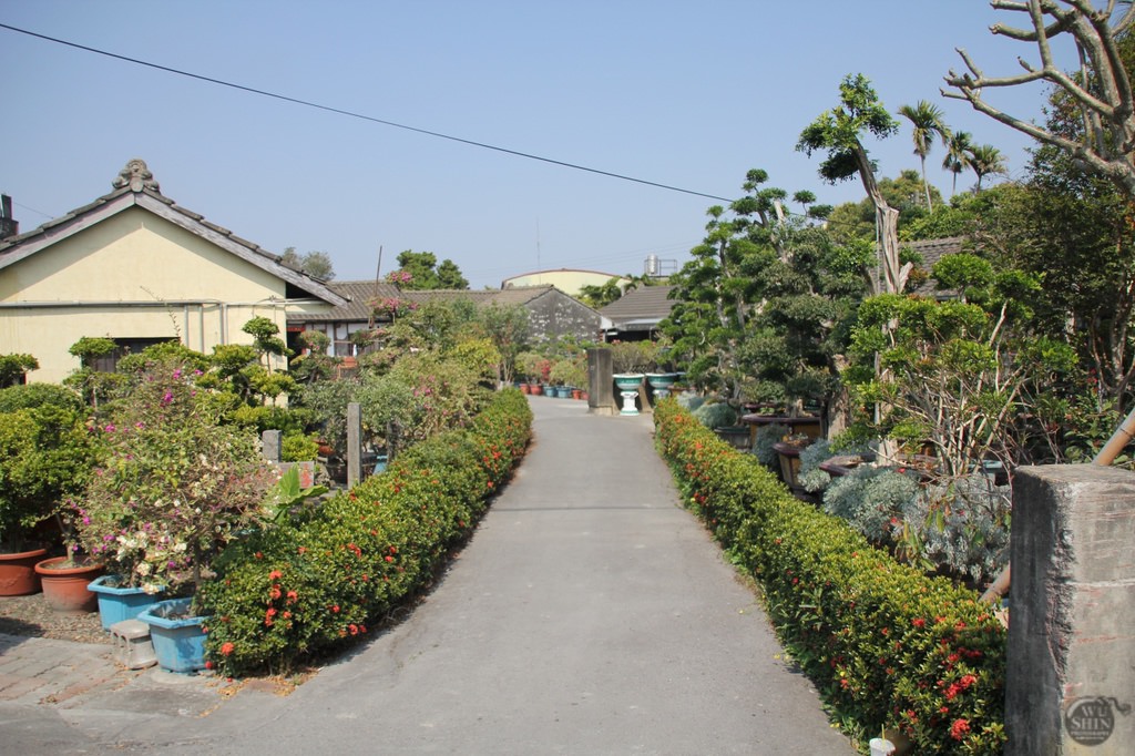 彰化田尾公路花園